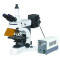 LBM800 Lab biolgoical  microscope