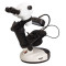 G6 gem microscope