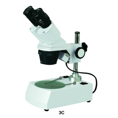XT3 stereo microscope