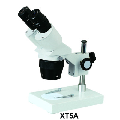 XT5 stereo microscope