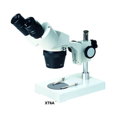XT6 stereo microscope