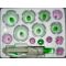 Vacuum Cupping 12 Cups Kit