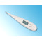 Digital Thermometer RBMT101P