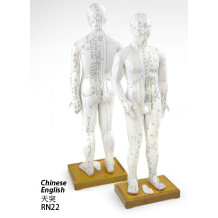 Male Human Acupuncture Point Model 70cm