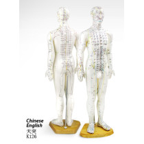 Male Human Acupuncture Point Model 60cm