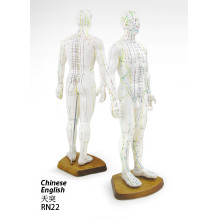 Male Human Acupuncture Point Model 51cm