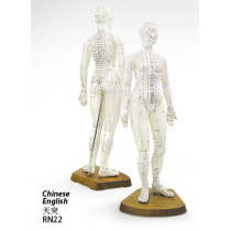 Female Human Acupuncture Point Model 48cm