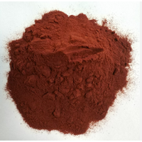 Grape Seed Extract