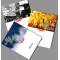 2013 good quality printing customized Catalogue with full color printing
