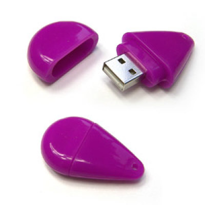 Plastic OEM Gift USB Flash Drive