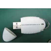 Plastic Logo Printing  Plastic USB Flash Drive