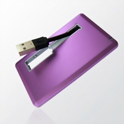 Card  Promotional  Credit Card USB Flash Drive