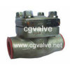Forged steel check valve