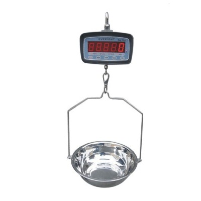 Hanging scale