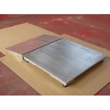 Stainless steel floor scale