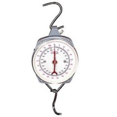 Mechanical hanging scales