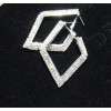 Diamond Earrings     High-grade bride jewelry