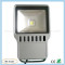 Top quality low price led flood lighting(NG-FL651-F60W)