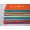 Corflute Plastic Sheet