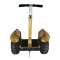 New Products Self balancing Rechargeable Safe 1600W 2 Wheels Electric Mobility Scooter
