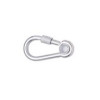 Snap Hook with Eyelet and Screw, Zinc Plated