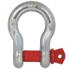 Screw Pin Anchor Shackle G209 S209