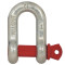 Screw Pin Anchor Shackle G210 S210