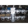 Double-channel Thermal Recovery Wellhead Equipment