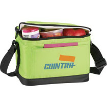 6 Pack Insulated Bag