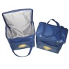 Promotional ice cooler bags