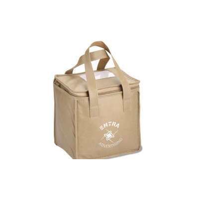 Custom printed square non woven lunch bag