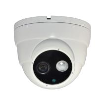 Sony CCD 420tvl Array III LED IR Dome Camera
