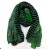 Green voile scarf