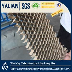 Best Price Endless Packing Honeycomb Paper Core