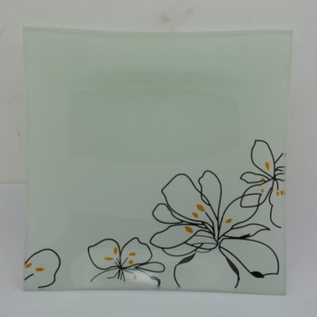 Square Pyrex Glass Plate