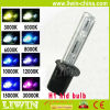 2012 Automotive HID Xenon Lamps & Bulbs
