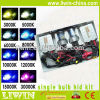 free replacement new Wholesale hid kit for Royaum headlight off road 4x4