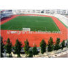 athletic track material with competitive price