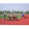 hot sale of Running Track