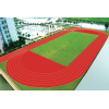 hot sale! Mixed Runing track