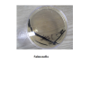 Salmonella  Chromogenic Medium Additives