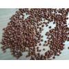 hulled roasted buckwheat from chinese factory new crop