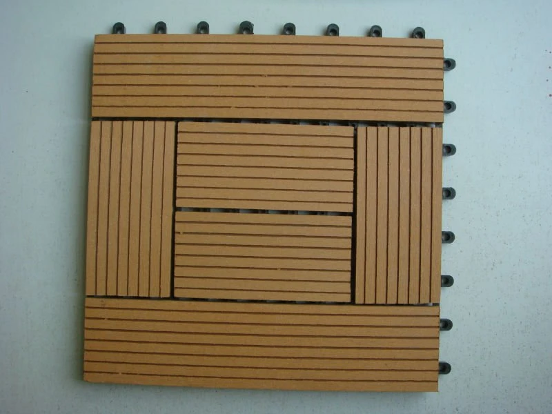 NO 6