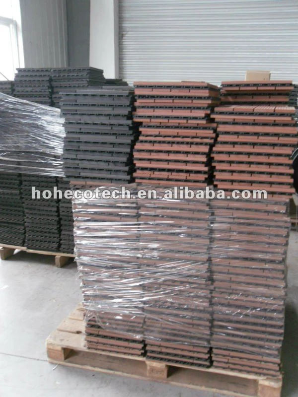 SDC17047.JPG