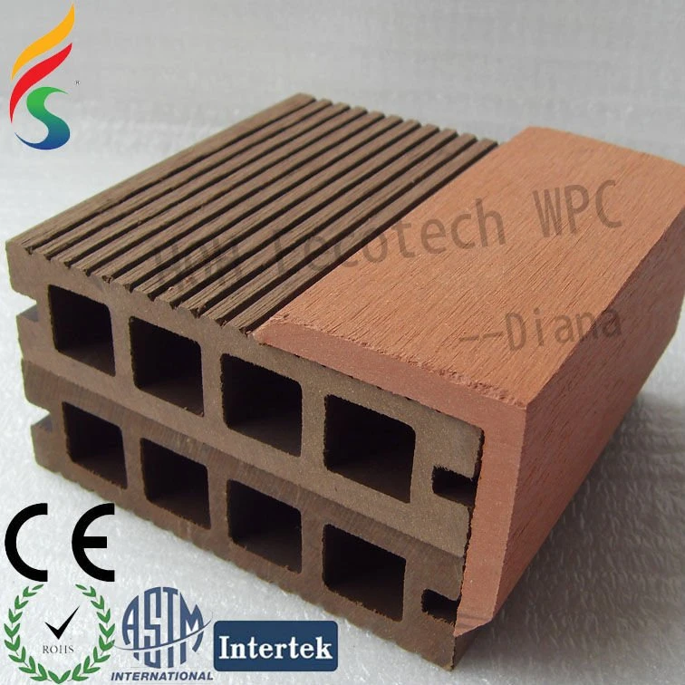 SDC16457 .jpg