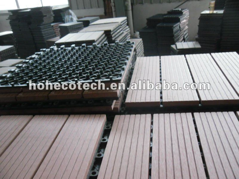 Sdc1460 5. jpg