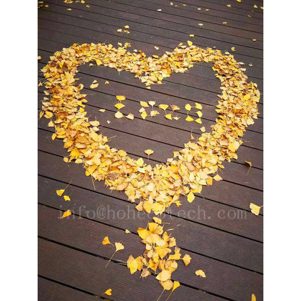 Rot proof wood plastic composite decking