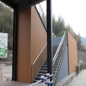 Revestimiento de pared compuesto de madera y plástico exterior de wpc
