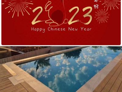 Happy Chinese New Year !