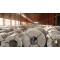 China sgcc cold rolled steel coils/sheets export to Dubai
